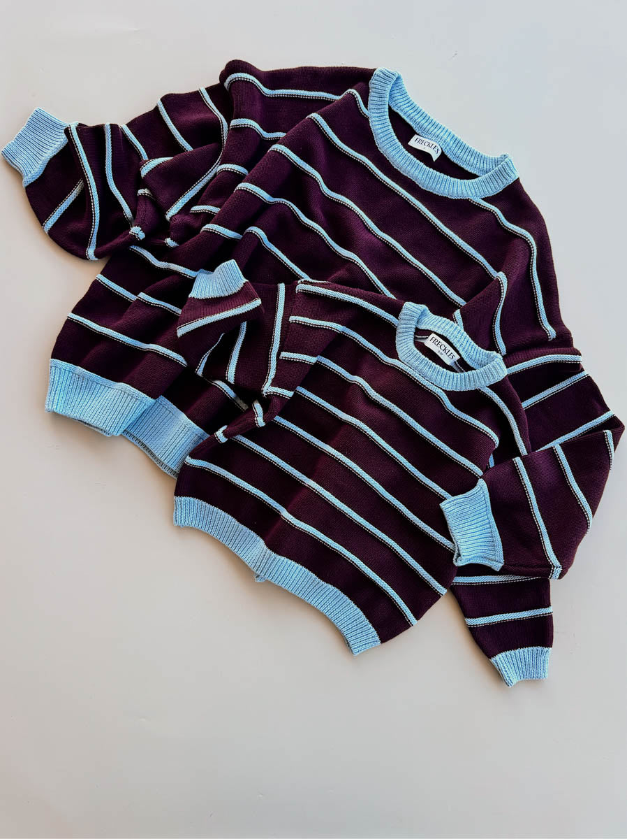 Women Raised Stripe Jumper | Blackberry/Arctic