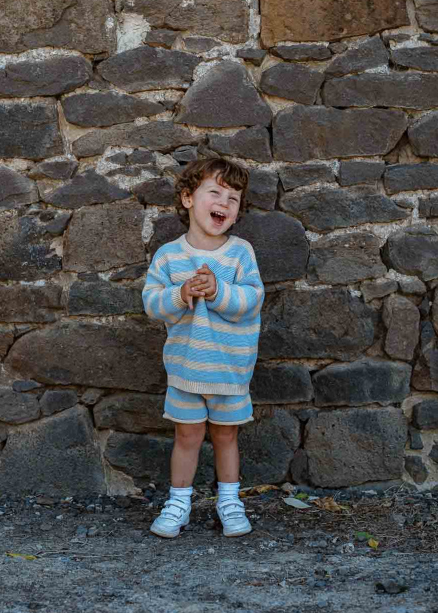 Cotton Knit Jumper | Sky Stripe