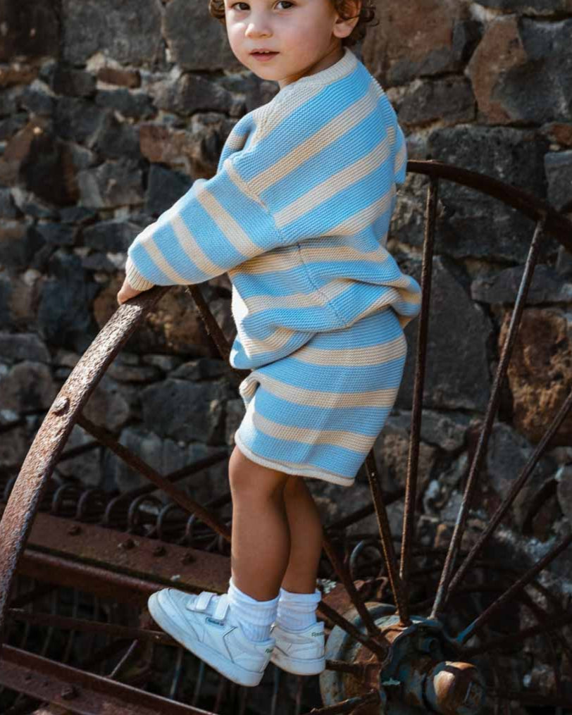 Cotton Knit Shorts | Sky Stripe