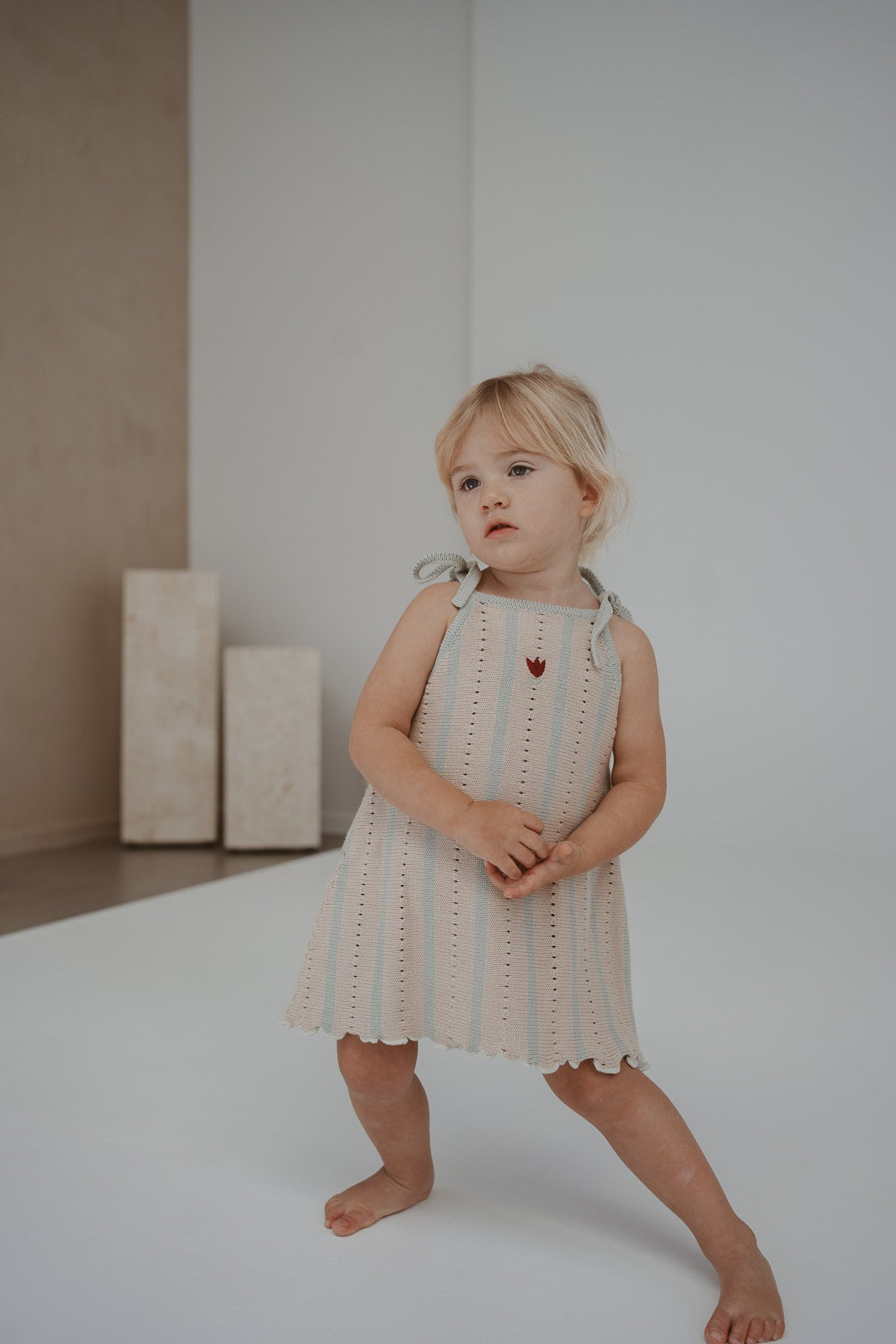 Embroidered Pointelle Tie Dress | Mist Stripe