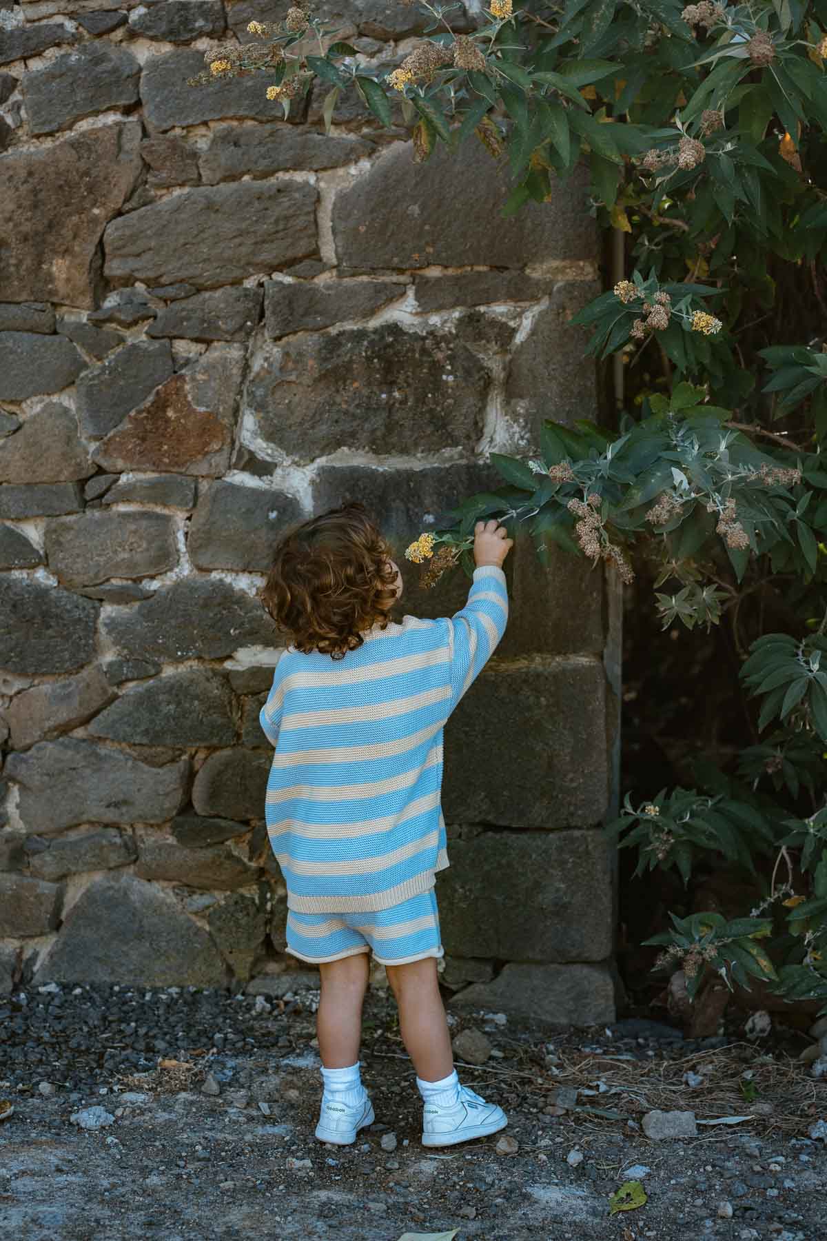 Cotton Knit Shorts | Sky Stripe