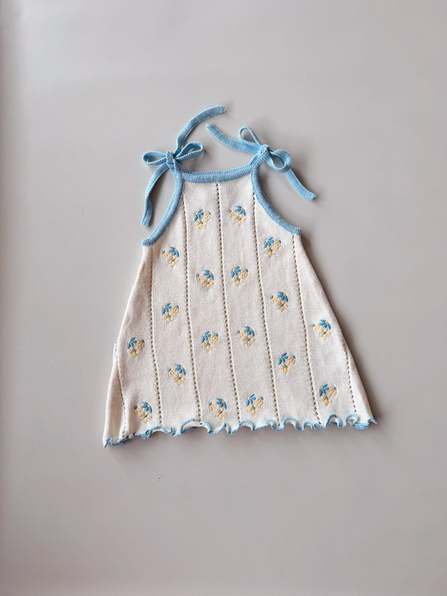Embroidered dress with blue floral patterns on a plain background